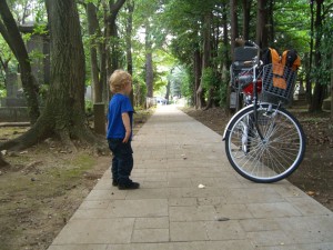 Cemetery Pathway