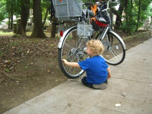 Checking the wheels for integrity