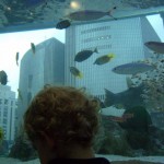 Sony Building Aquarium